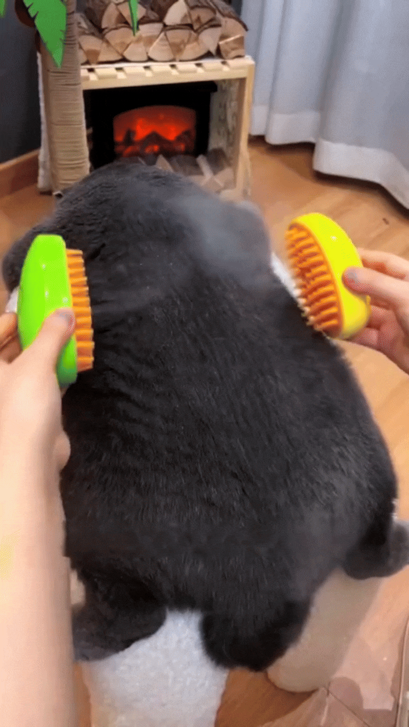 El Cepillo a vapor que elimina el pelo sin tirones y sin estrés 🧡